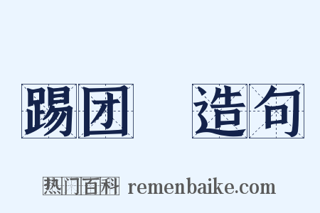 踢团圞造句是什么意思的图片